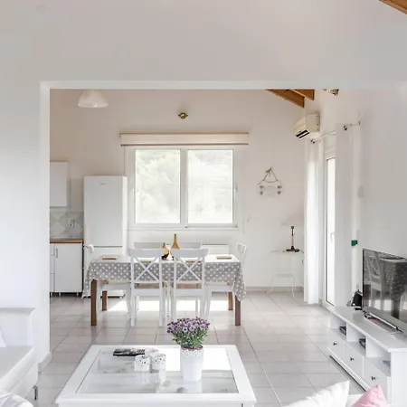 Fedrita * 阿查拉维